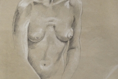 D-003 "Half Frontal Nude" (17"x23")