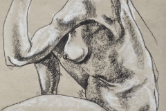 D-004 "Nude" (23"x17")