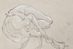 D-016 "Nude 3" (22"x18")