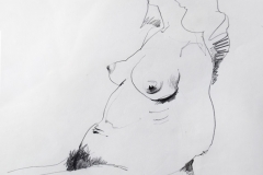 D- 027 "Linear Study of Seated Lady" (19½"x19½")