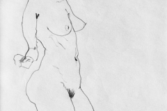 D-031 "Line Drawing of Mature Nude" (15"x12")