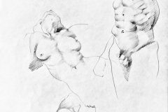 D-035 "Study of Male & Female" (30"x24")